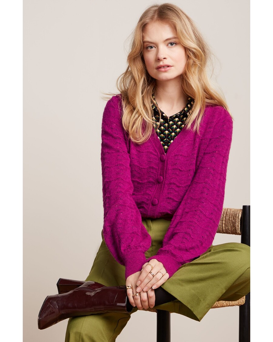 King Louie Cardi V Terme