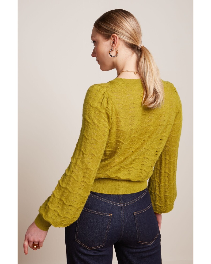 King Louie Cardi V Terme