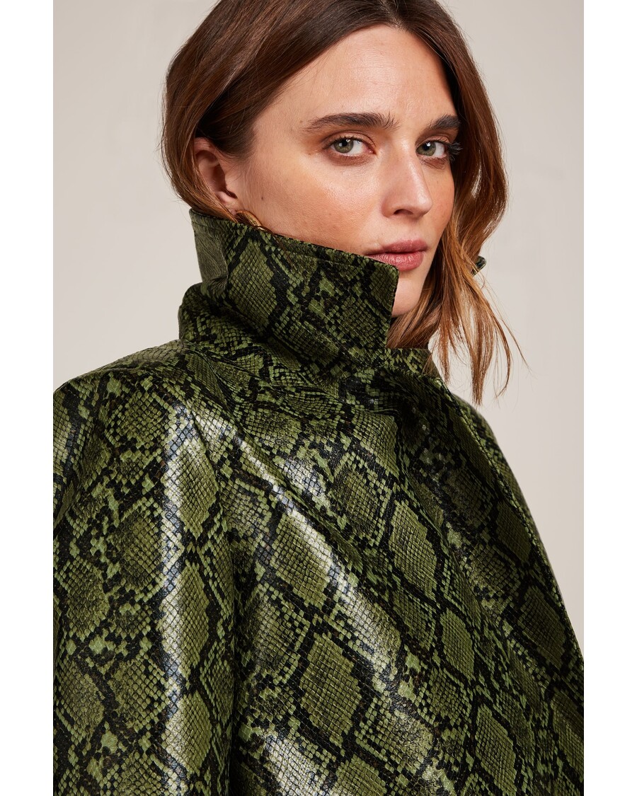 крал луи пати палто усойница