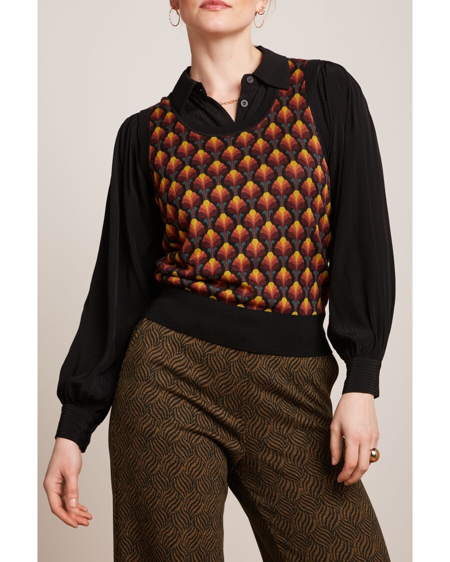 King Louie Spencer Waterloo